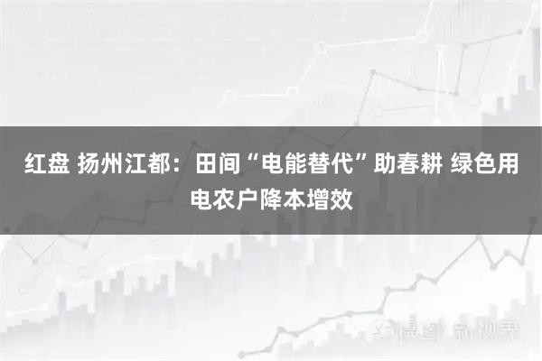 红盘 扬州江都:田间“电能替代”助春耕 绿色用电农户降本增效